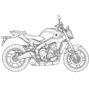 MT09 2024
